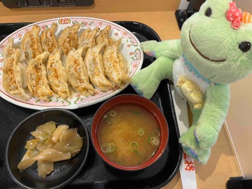 腹ペコなのでごはん！ぎょうざも映画に出てきてたからつい、、🐸💦　思ってた倍ぎょうざボリュウムあったけど盛られたぶんはかならず食べるけろっ！