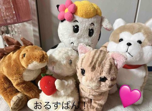 きょうはじつは、お出かけケロ🚐！
おるすばんぐみ、もーしわけない！おうちをよろしく、行ってくるケロよ〜👋
