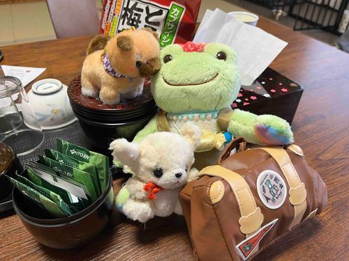 やっとお宿についたケロよ〜✨なんと、とちゅうで❣️あたらしいおともだちができた私たち。いきとうごう、して、これから一緒にこうどうを共にすることになったケロ🩷
マメシバのさぶちゃんだケロ！よろちくわ〜