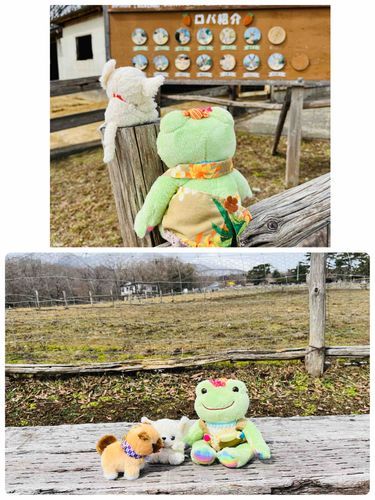 🍓県に行ってきたケロ❣️いくつかのぼくじょうや、道の駅をめぐったケロよ〜🐸🌸まだまだかぜは冷たかったけろ、早春のけはいを、ふきのとうの天ぷら食べながらひしひしと感じてきたケロ❣️