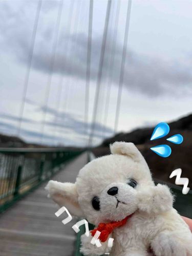 もみじ谷おおつり橋っていうの、風つよすぎ、さむすぎ、こわすぎで、ちわっち渡れましぇんでしたっ💧
