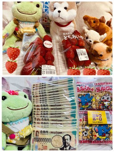 🍓の食べくらべもしたいとリクエストがあったのでどーぞ〜
旅から帰ったら、なぜか大金を手に帰ってきて、どこか自慢げな梅ちゃん💵