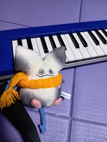 はじめまして。モーモンのももです。
飼い主は音楽が好きみたい
癒しを求めてここにやってきたよ
これからよろしくね