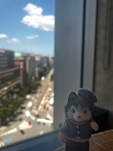 綺麗な青空だね！