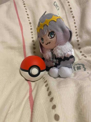 ...で、これなんだい？ボール？なんの？
