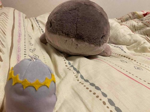 ドオー が あらわれた ！
ミニベ は どうする ？