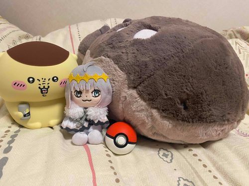ふむ、君はドオーと言うんだね。ふわふわで温かそうだし仲良くしようじゃないか。