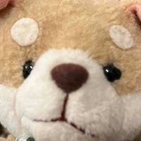 パッペレッペ村