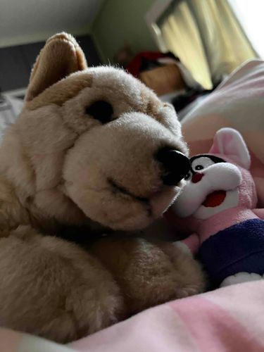 さみくてなかなか起きれないねえ