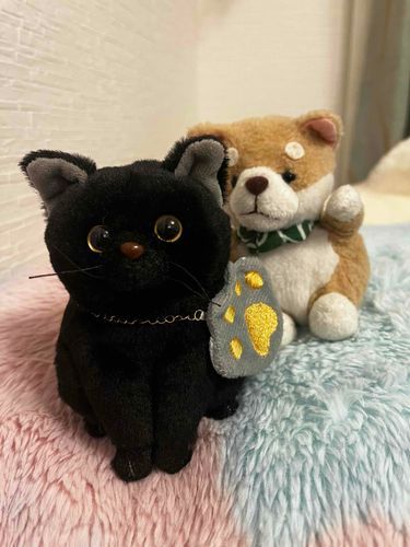 コロはおはぎちゃんにお気に入りに肉球バッグを貸してあげました！