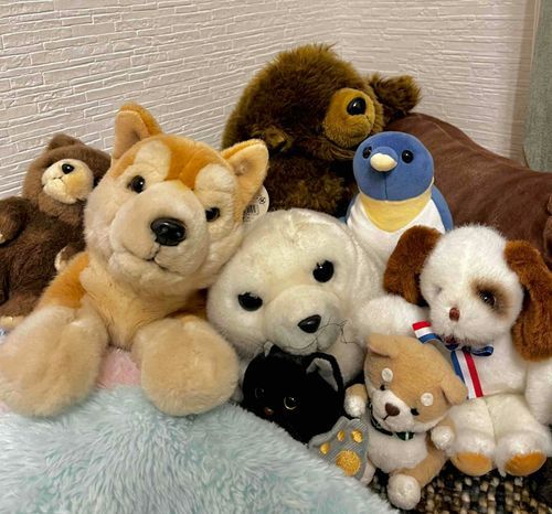 さむいときのおしくらまんじゅう大会のシーズンも終わりかな〜はやくぽかぽかしてほしいねえ