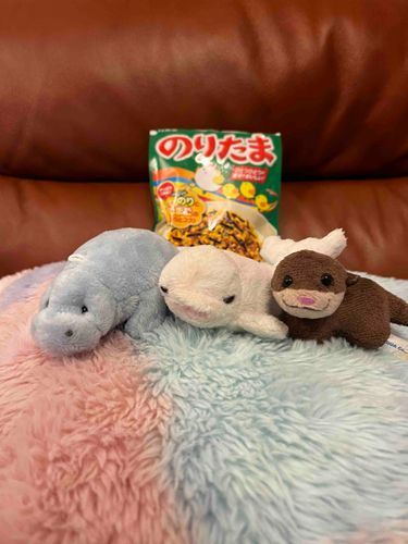 ふりかけ業をいとなむ三兄弟です