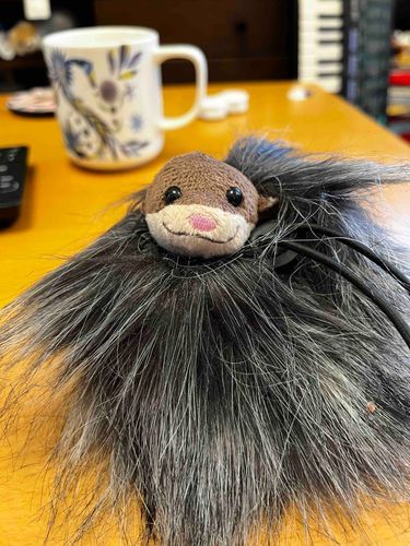 おや！まめぽはなんだかおさまりのいいところを見つけたようです！