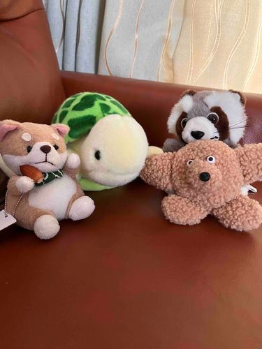 かんりにんのおじさんがまいごになってた子を保護してきたのでお泊まり会をしたよ！ぬかどこくんという名前で俺たちの知らないところからきたから、たくさん面白い話を聞かせてくれて村はおまつりさわぎ！今日おうちがみつかってかえれるんだって！よかったね！
またね〜！
村のリーダー　コロより