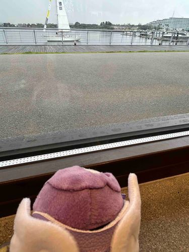 海だよ、雨さん