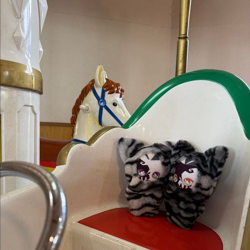 2人きりでメリーゴーランドだね🎠