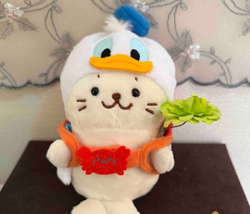 チャリチャリきゅ