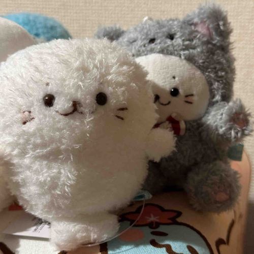 新しいお友達のにゃんたんだよ
