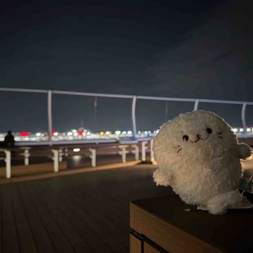 羽田空港で飛行機見ながら夜更かししたよ