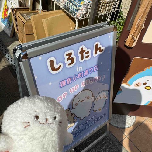小町通りに行ってきたよ
