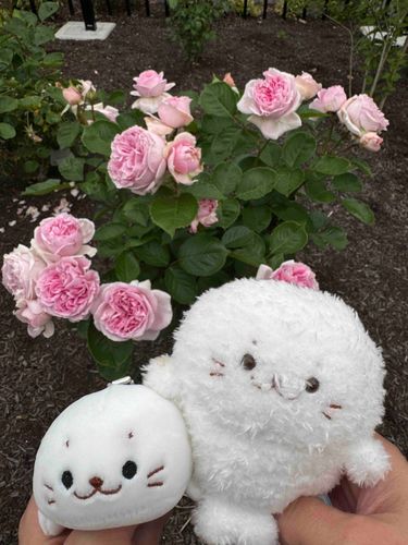 おともだちとお出かけしてきたよ