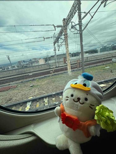 おでかけきゅ