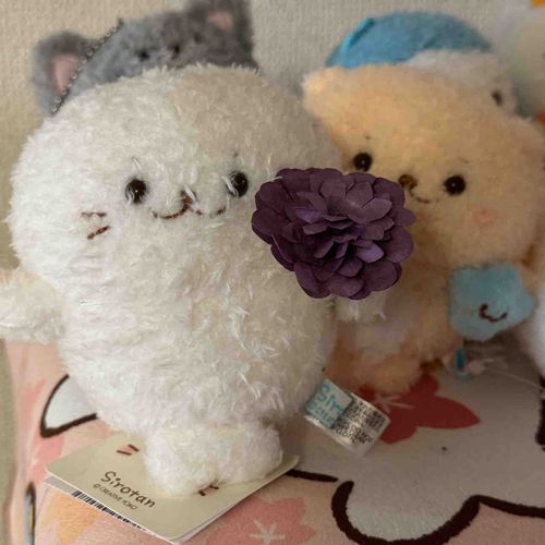 お花をもらったよ