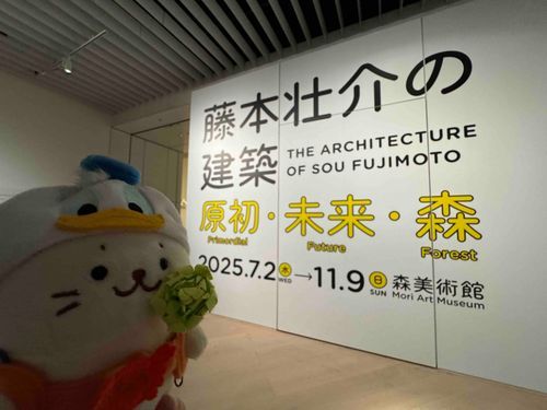 ばんぱきゅロス回避きゅ