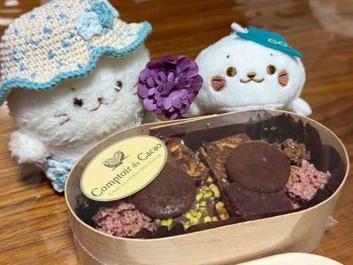 チョコレートをみつけたよ