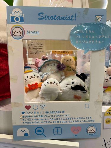 立川のおうちに行ってきたよ
