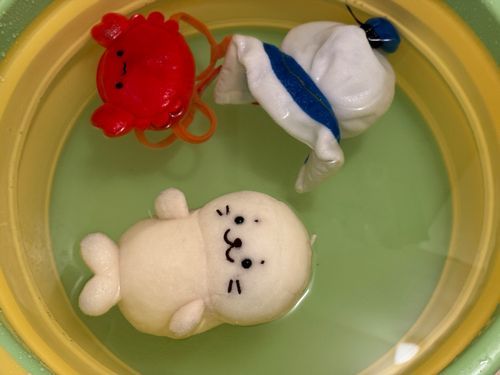お風呂きゅ🛁