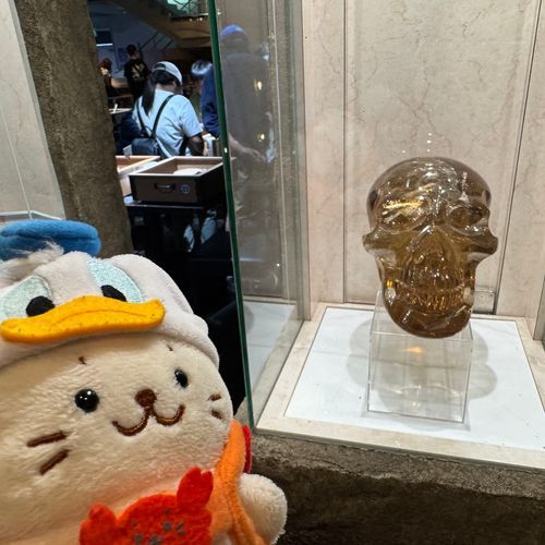 クリスタルスカルきゅ…！