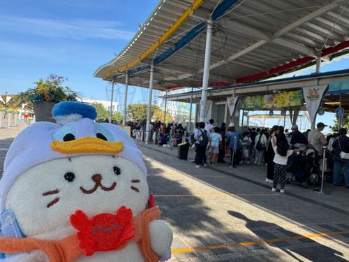 ポケパークに来たきゅ