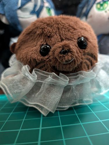 🟤黒糖わらび
「うふっ♡モグラさんみたいよって言われた」
