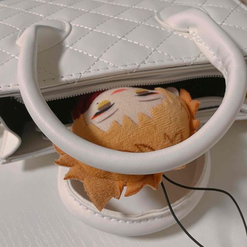ぬしのかばんのなかしんにゅ！！せいこうだぜ