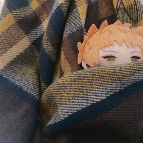 ぬしのあたらしいまふら！！ふわふわ、おれのべっどにしてやるんだぜ！！！