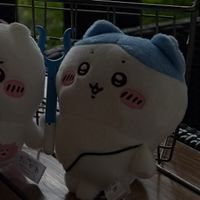 ﾁｬﾘﾒﾗ