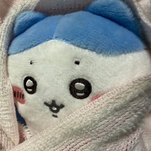 ｺﾜｲﾈ,ｱｼﾀｯ