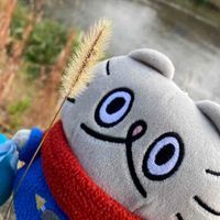ぶーたん艦隊