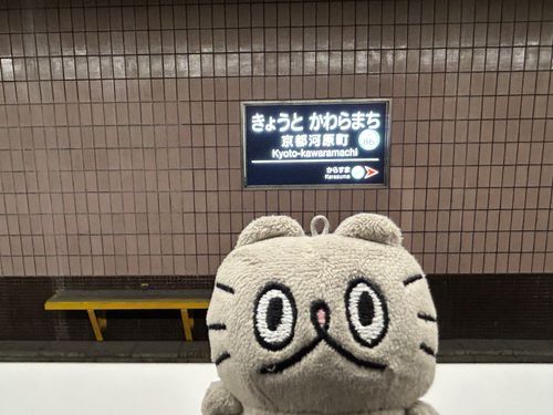 〻ʘᴥʘ〻 ぶーの旅 京都河原町