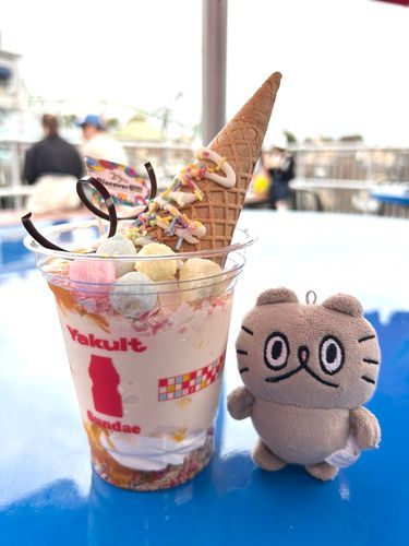〻ʘᴥʘ〻 ユニバのヤクルトサンデー🍨