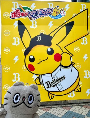 〻ʘᴥʘ〻 ピカチュウ⚡️