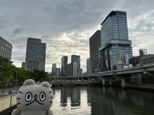 〻ʘᴥʘ〻 さんぽ
