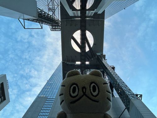〻ʘᴥʘ〻 ぶーの旅 梅田スカイビル