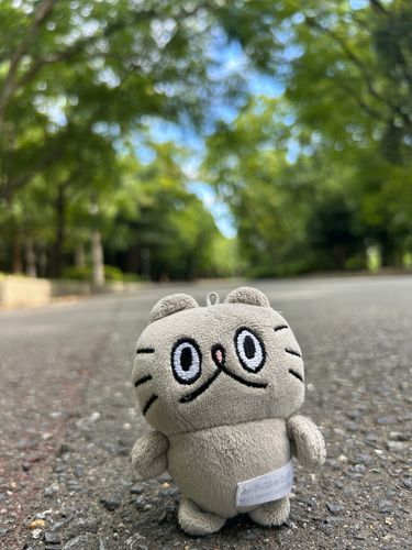〻ʘᴥʘ〻 大阪城公園を散歩。暑いから人が少ない。