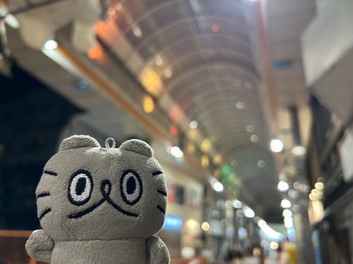〻ʘᴥʘ〻 始めて行く商店街ってワクワクするよね。