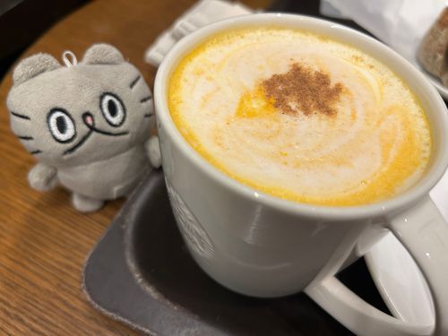 〻ʘᴥʘ〻 パンプキンスープチーノ🎃