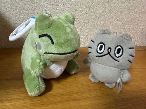 〻ʘᴥʘ〻 ポケモンセンターでお迎えしてきました