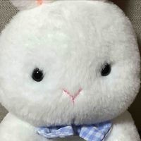 うさみちゃん