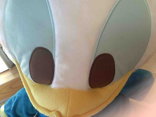 新しい子をお迎えしました！！ドナルドでっかいぬいぐるみです！これからよろしくお願いします🙇
